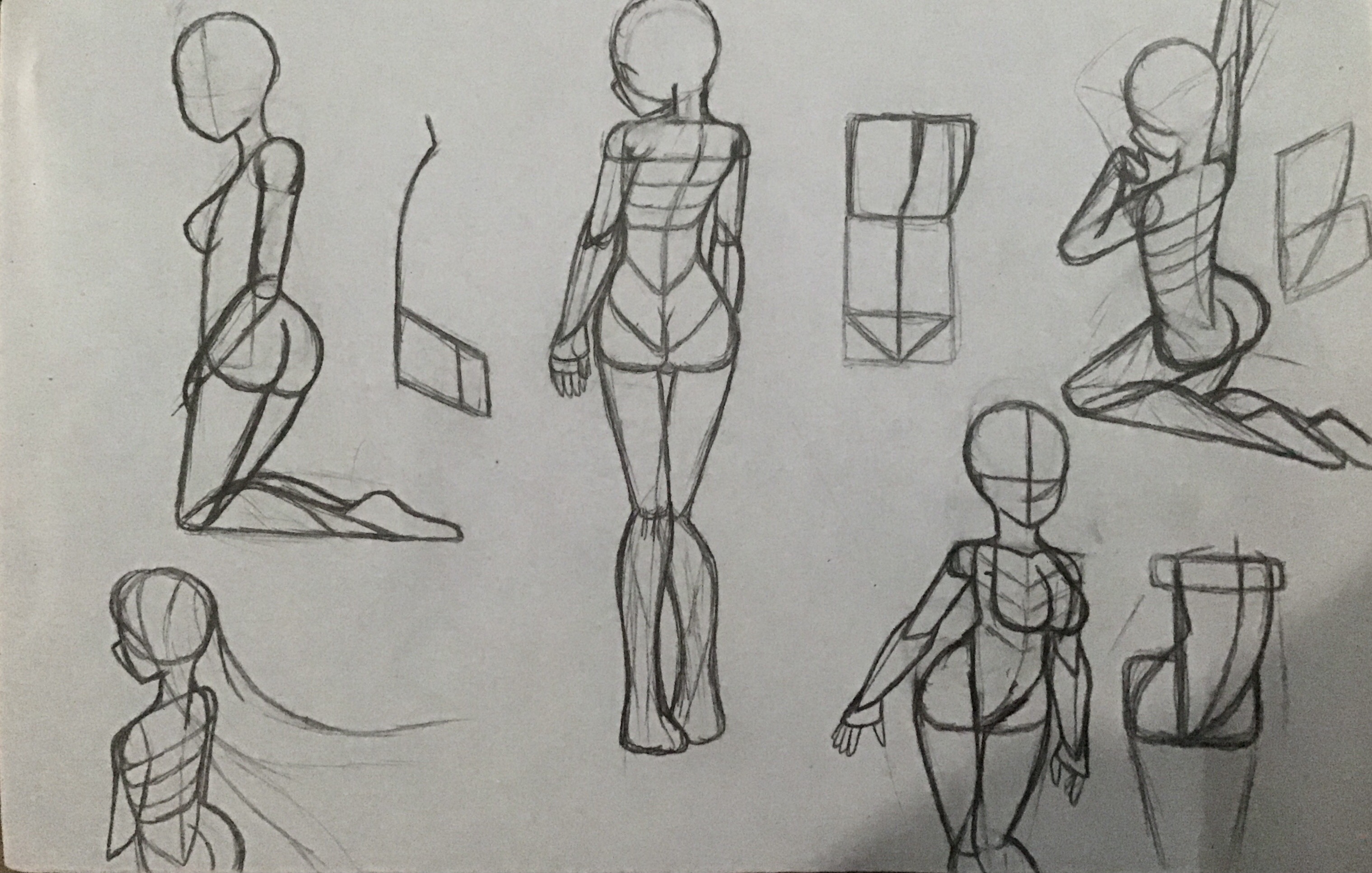 How to draw Female Anatomy Pose