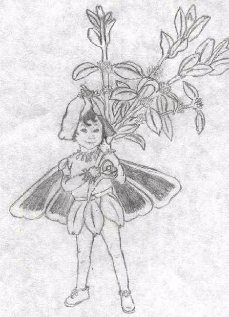 Box Tree Fairy