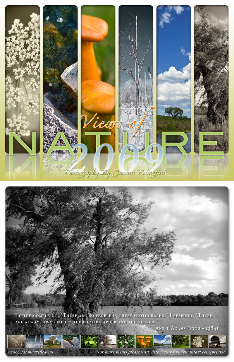 Views of Nature 2009 Calendar