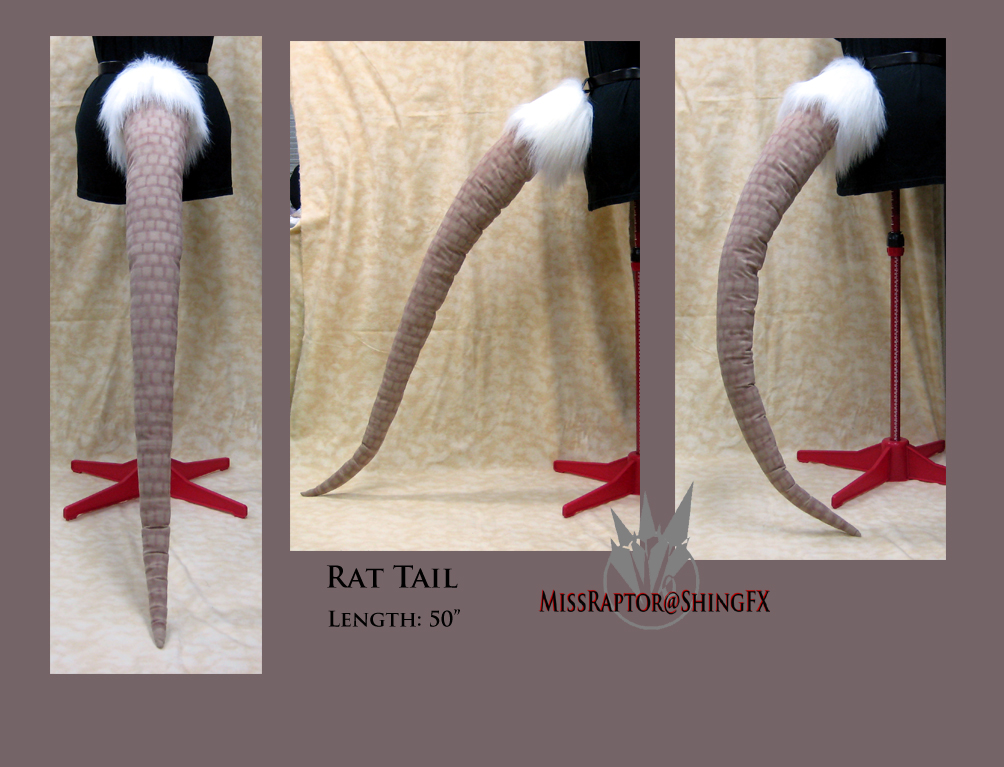 Rat tail