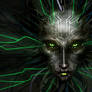 Shodan