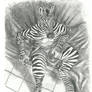 Zebra Anthro