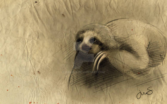 A Study in Sloth