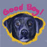 Who is a good boy?