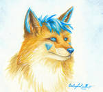 Afoxen - Blue fox by LARvonCL