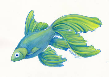 Aquarelle - Echo the goldfish