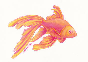 Aquarelle - Nano the goldfish