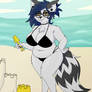 Beach raccoon