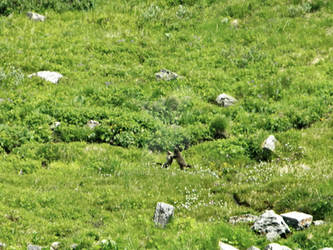 h7 Furka Pass (7)