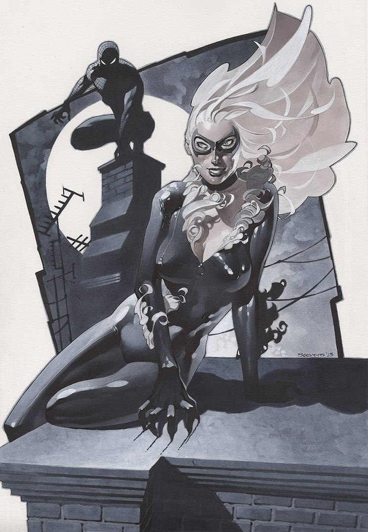 Black Cat and Spidey 2 by ChristopherStevens