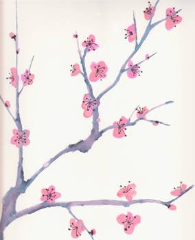 Japanese Cherry Plum