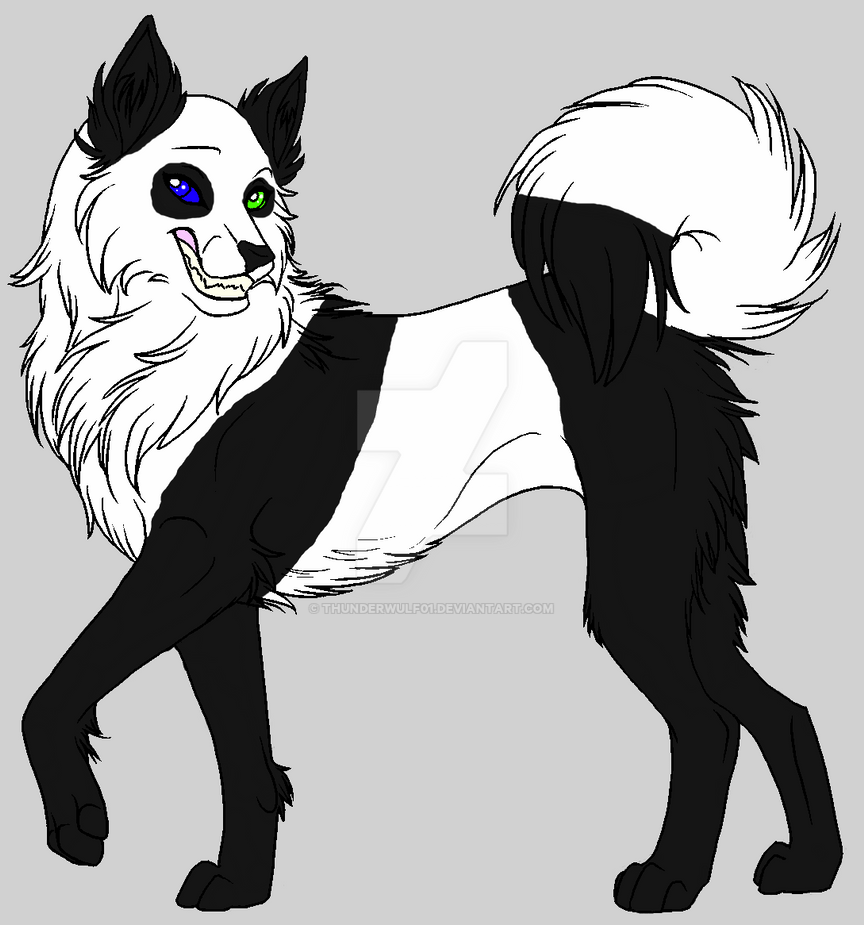Panda wolf art by Thunderwulf01 on DeviantArt