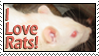 I Love Rats! stamp