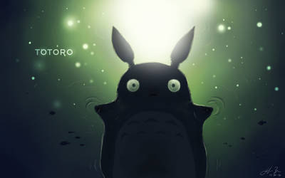 Totoro Underwater