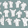 Torso Studies