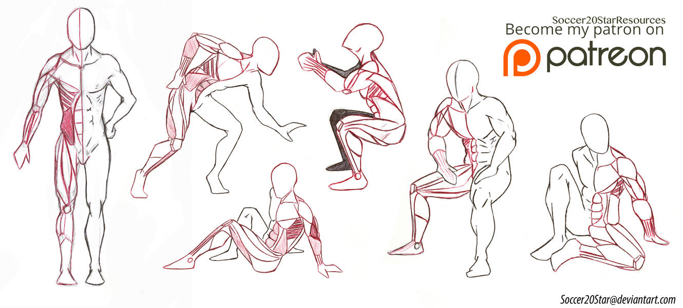 Anatomy 5 Poses Full Body Muscles By CourtneysConcepts On DeviantArt anatomy-5-poses-full-body-muscles-by-courtneysconcepts-on-deviantart