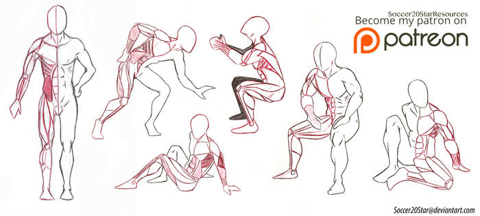 Anatomy 5 Poses Full body muscles