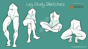 Leg Sketches