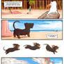 Doxie: Beach Day 003