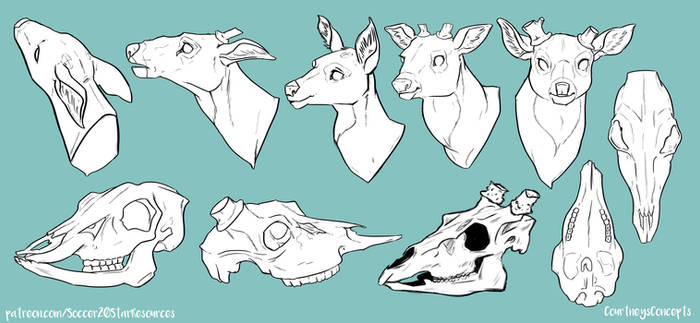 Deer Head and Skull Reference