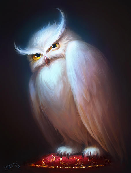 Displeased Owl by Leffsha