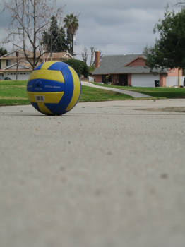 passion + volleyball