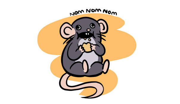 Navi the Rat - Nom Nom Nom