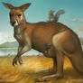 MTG Unstable: Mother Kangaroo