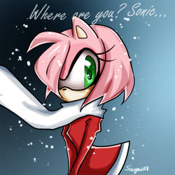 Amy Rose In Snow