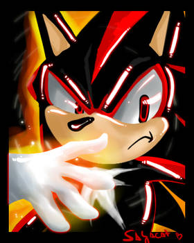 Angry SHADOW THE HEDGEHOG