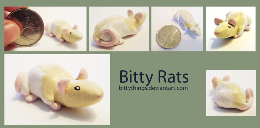 Bitty Rat 1 - SOLD