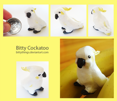 Bitty Cockatoo - SOLD