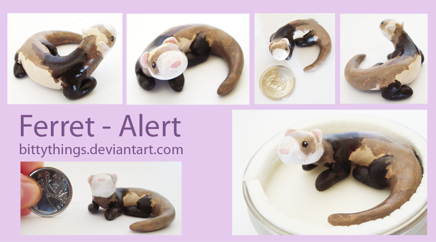 Ferret - Alert - SOLD