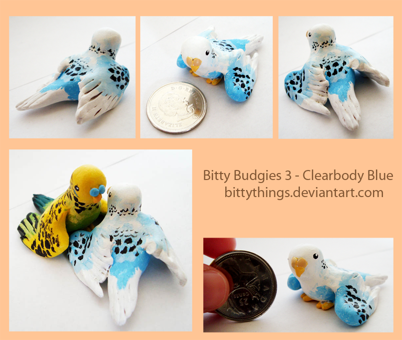 Bitty Budgies 3 - Clearbody Blue - SOLD