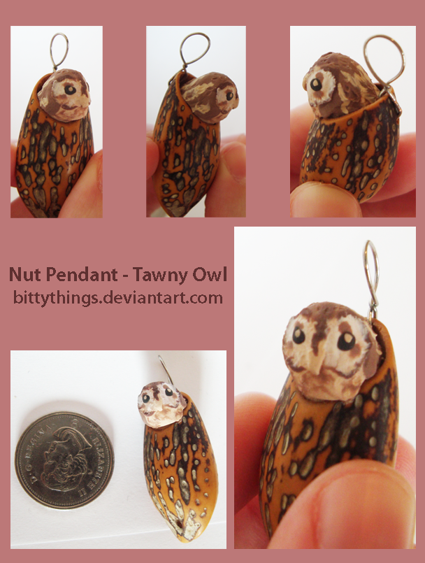 Nut Pendant - Tawny Owl - SOLD