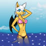 OHS: Rouge at the Beach