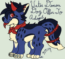 Water Demon Dog Offer to Adopt CLOSED