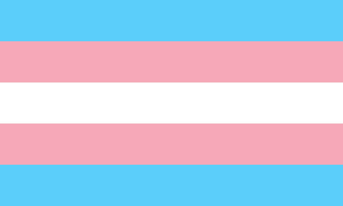transgender__1__by_pride_flags_d8zu7zf-p