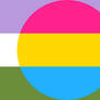 Genderqueer Pansexual Combo Flag