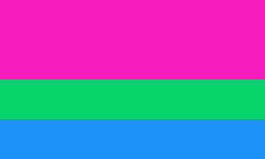 Poly- (feminine leaning) Pride Flag