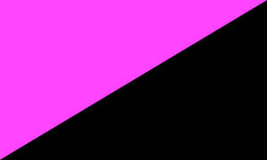 Queer Anarchy / Anarcha-queer