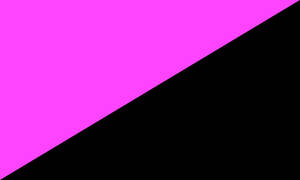 Queer Anarchy / Anarcha-queer