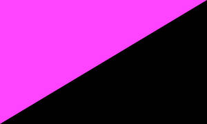 Queer Anarchy / Anarcha-queer