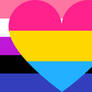 Genderfluid Pansexual Combo