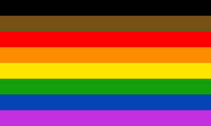 Philadelphia's 'More Color, More Pride' Flag