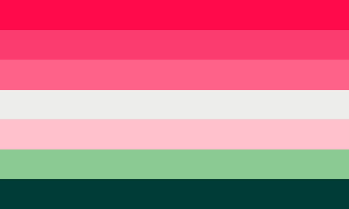 They them lesbian. Флаг лесбиянство.