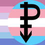 Bigender Trans Pansexual Combo