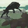 fight in the foothills