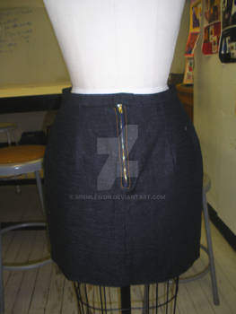 Denim Skirt: Back