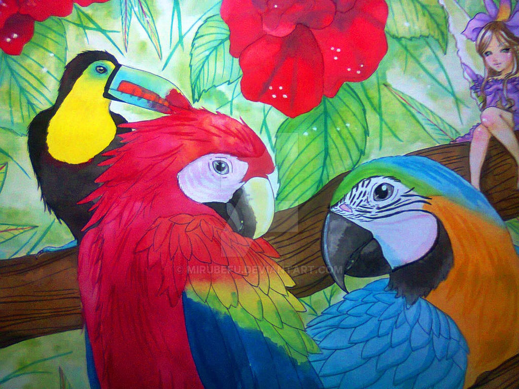 macaws for mommy